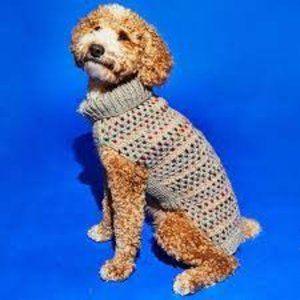 Ware of the Dog turtleneck dog sweater